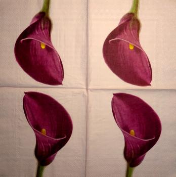 035 Calla - 3-ply